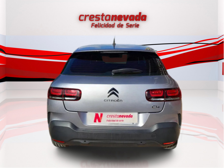 Imagen de CITROEN C4 Cactus