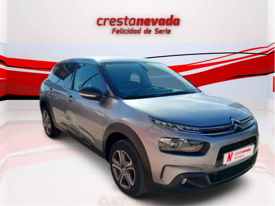 Imagen de CITROEN C4 Cactus