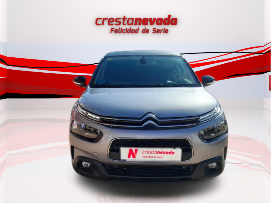 Imagen de CITROEN C4 Cactus