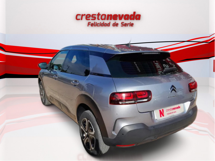 Imagen de CITROEN C4 Cactus