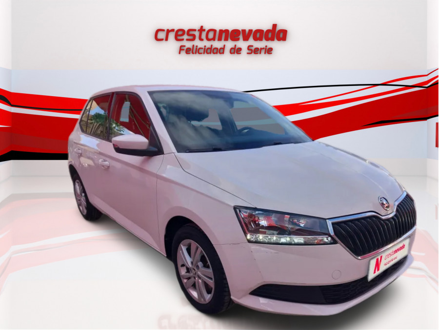 Imagen de Skoda Fabia