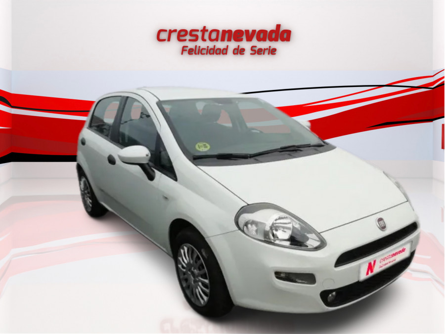 Imagen de Fiat Punto