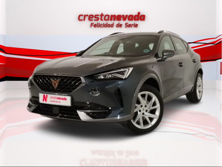 Imagen de cupra Formentor