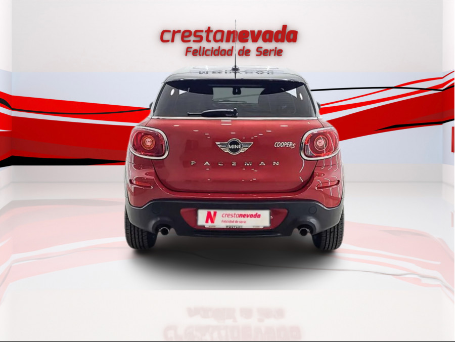 Imagen de Mini Paceman