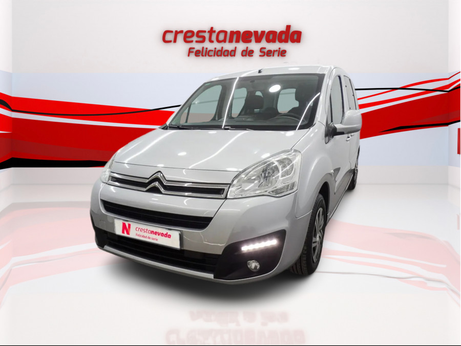 Imagen de Citroën Berlingo