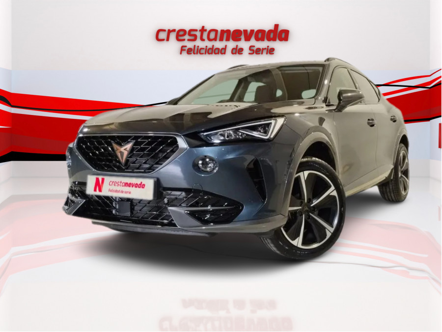 Imagen de cupra Formentor