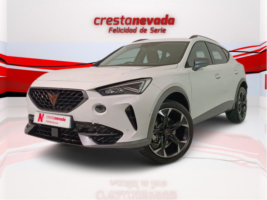 Imagen de cupra Formentor