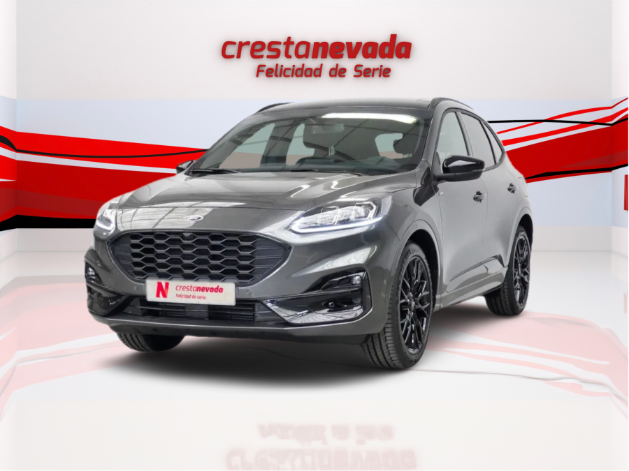 Imagen de Ford KUGA