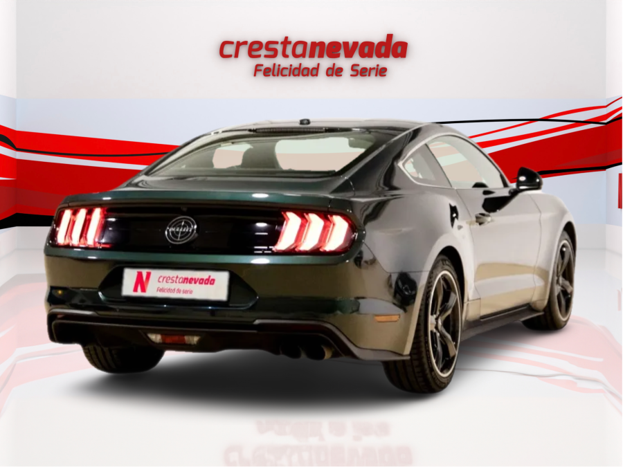 Imagen de Ford MUSTANG