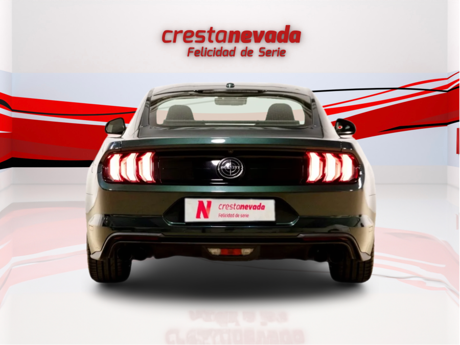 Imagen de Ford MUSTANG