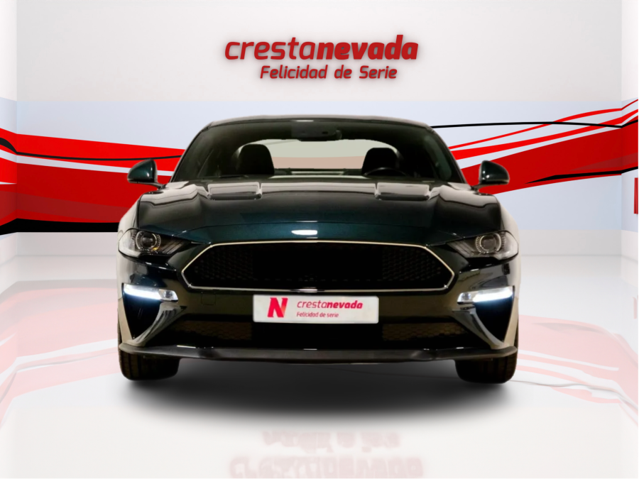 Imagen de Ford MUSTANG