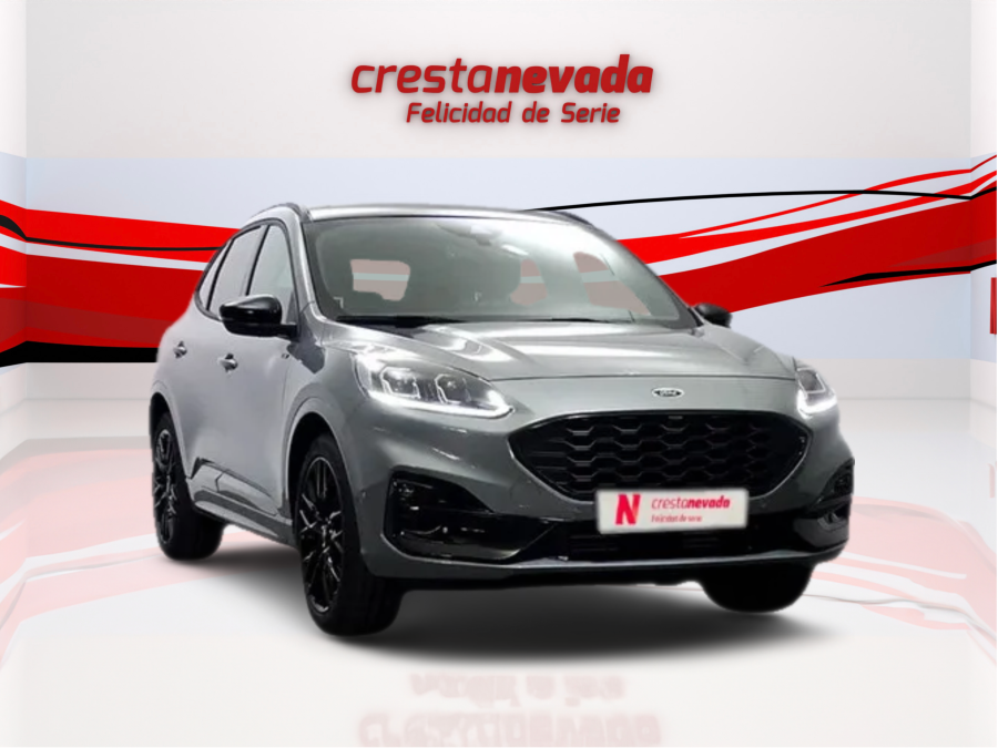 Imagen de Ford KUGA