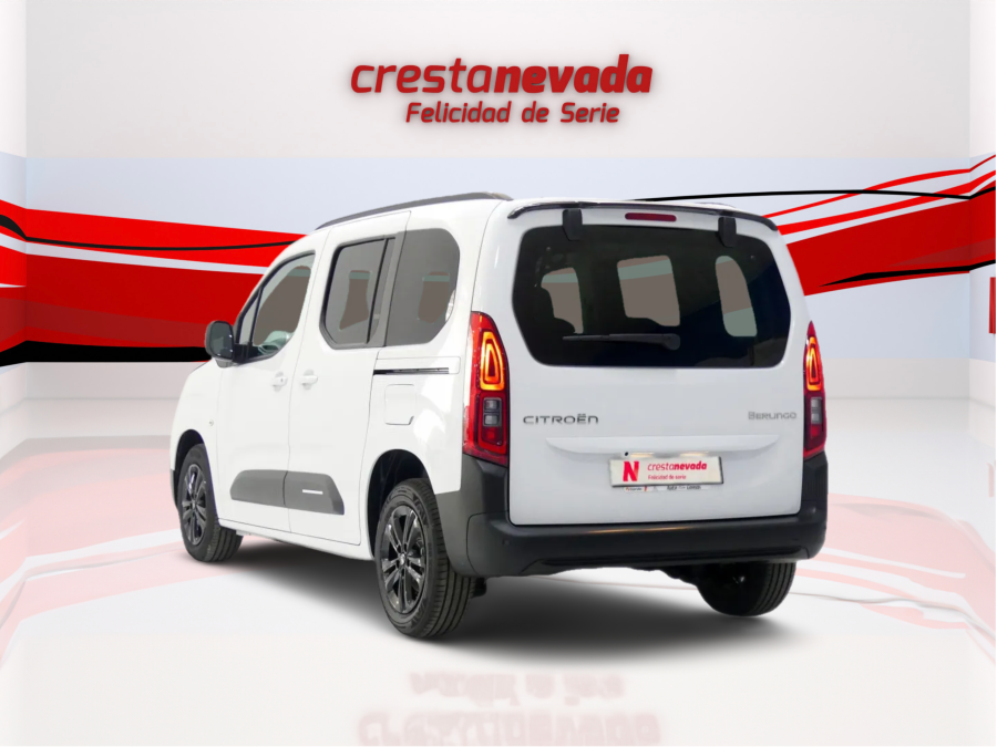 Imagen de Citroën BERLINGO