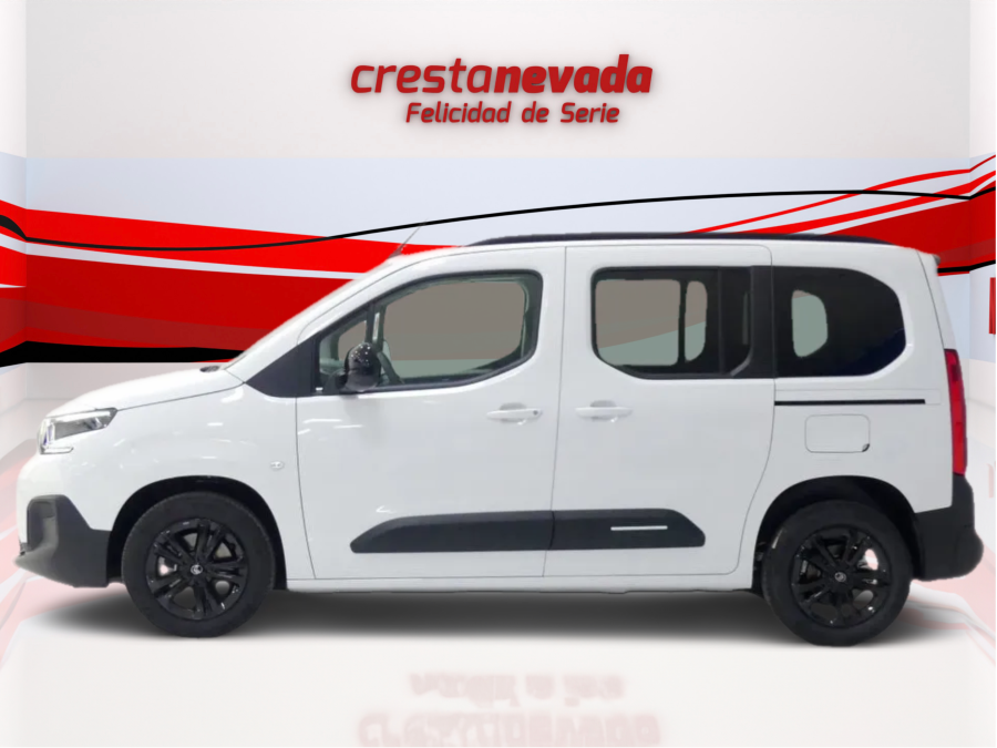 Imagen de Citroën BERLINGO