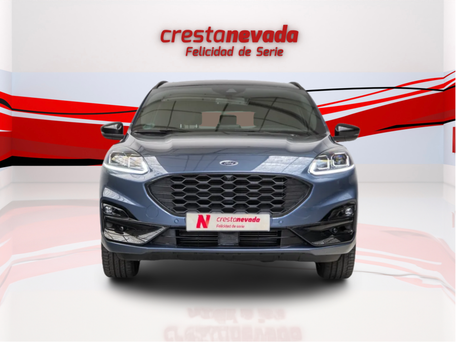 Imagen de Ford KUGA