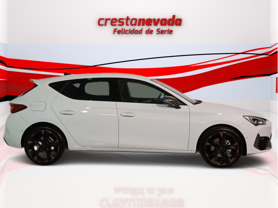 Imagen de cupra León