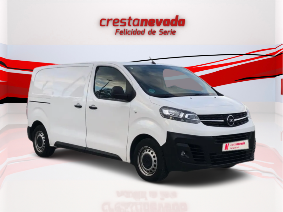 Imagen de Opel VIVARO