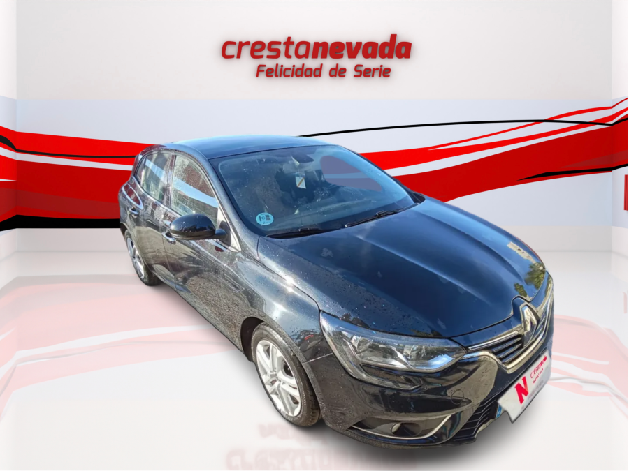 Imagen de Renault Mégane