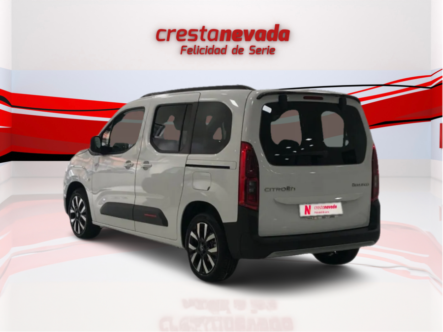 Imagen de Citroën BERLINGO