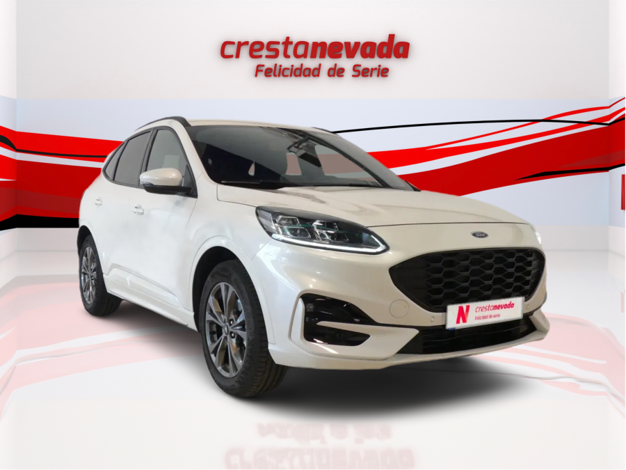 Imagen de Ford KUGA