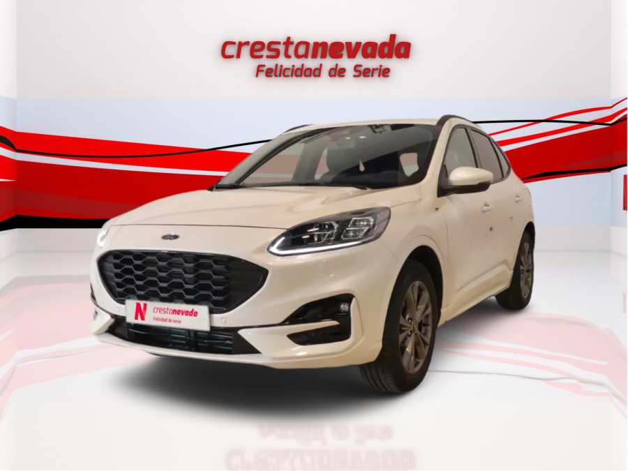 Imagen de Ford KUGA