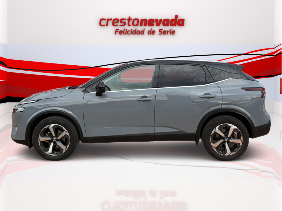 Imagen de NISSAN QASHQAI