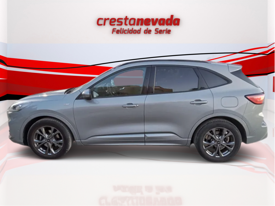 Imagen de Ford Kuga