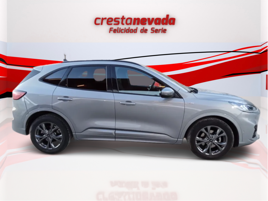 Imagen de Ford Kuga