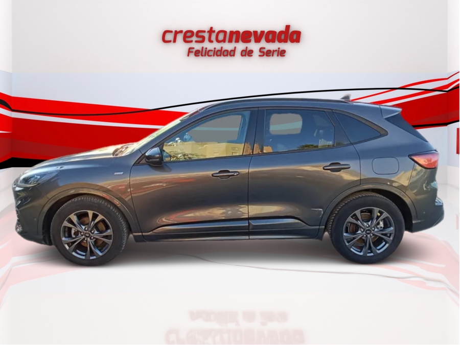 Imagen de Ford Kuga