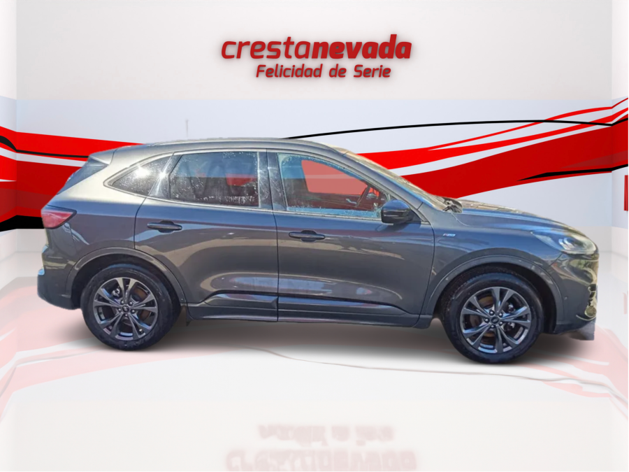 Imagen de Ford Kuga