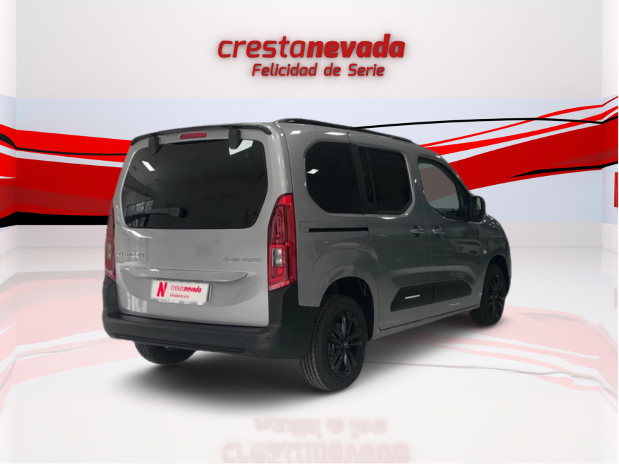 Imagen de Citroën BERLINGO