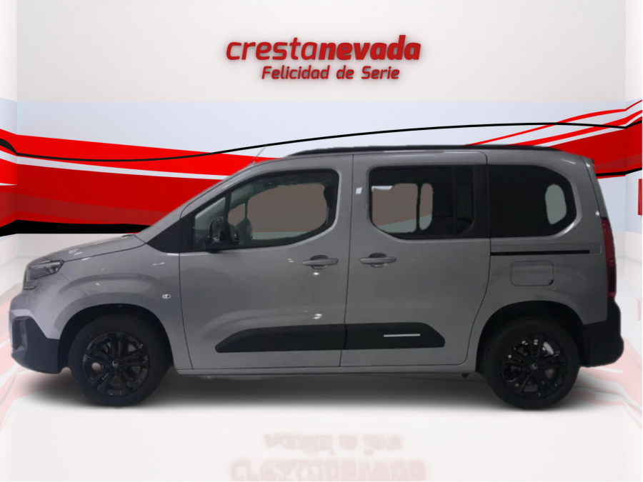 Imagen de Citroën BERLINGO