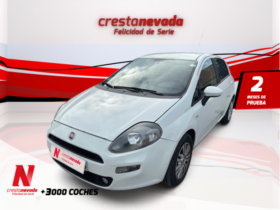 Imagen de Fiat Punto