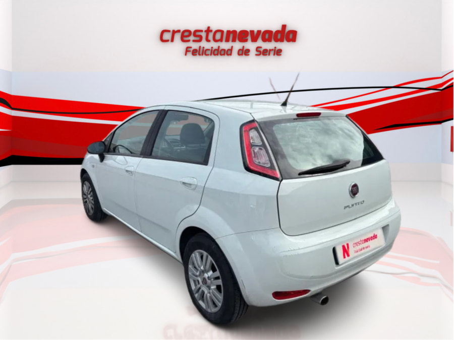 Imagen de Fiat Punto