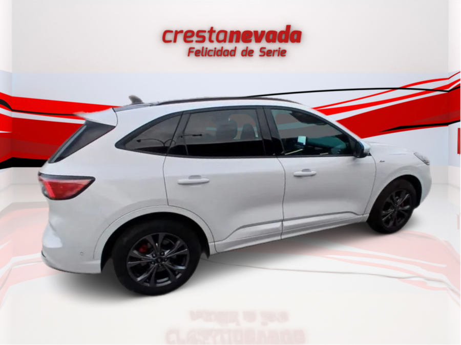 Imagen de Ford Kuga