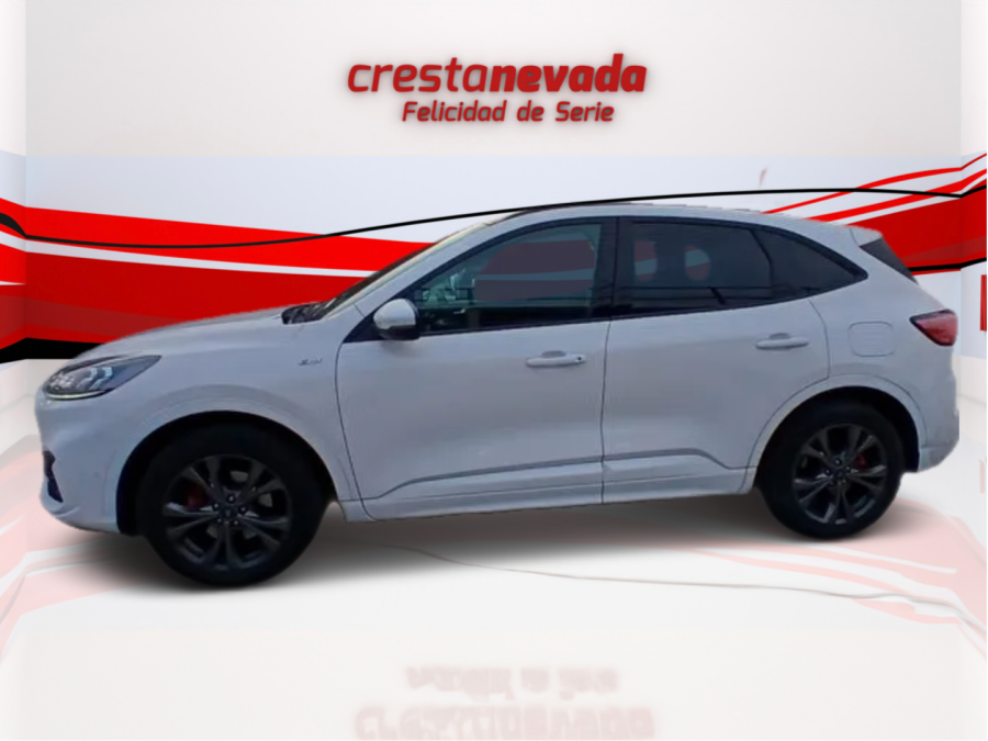 Imagen de Ford Kuga