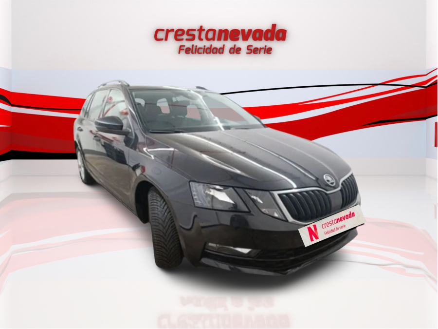 Imagen de Skoda Octavia