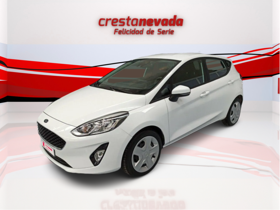 Imagen de Ford Fiesta