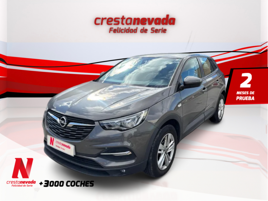 Imagen de Opel Grandland X