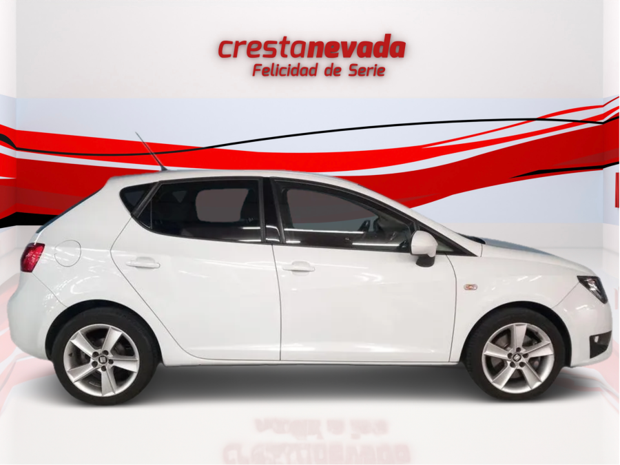 Imagen de SEAT Ibiza