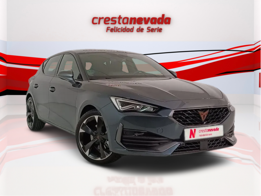 Imagen de cupra León