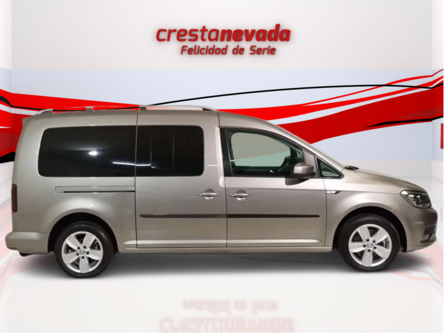 Imagen de Volkswagen Caddy Profesional