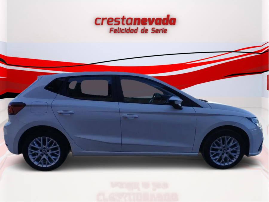 Imagen de SEAT Ibiza