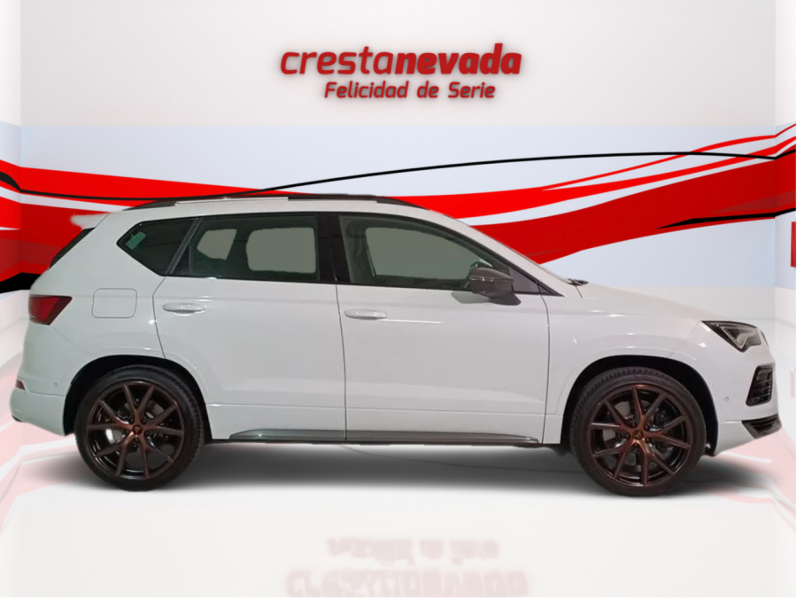 Imagen de cupra Ateca